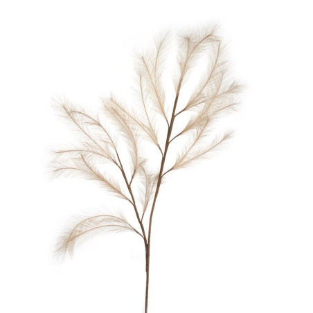 L'Ocanera Pampas Naturale Ref. 1P160 - Tomasini Francia