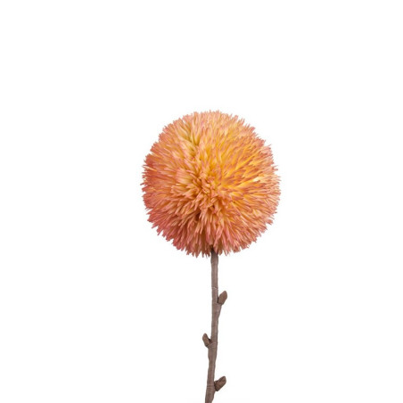 L'oca Nera Alium Rosa Ref. 1P16 - Tomasini Francia