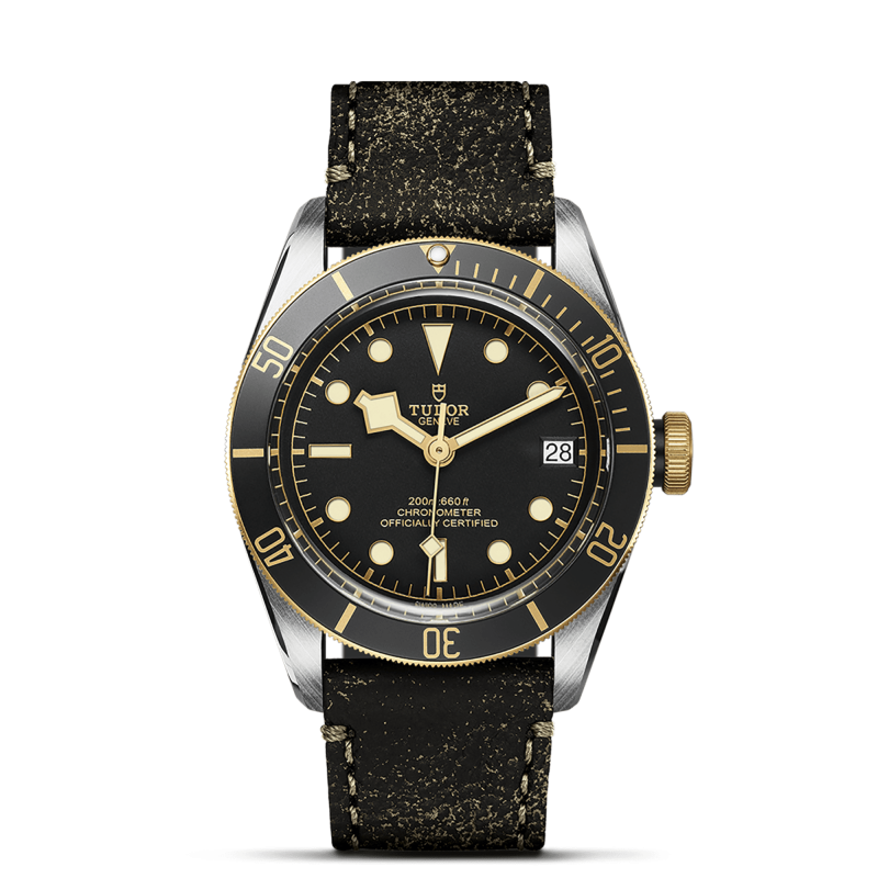 Tudor Black Bay S&G Ref. M79733N-0007 - Tomasini Francia