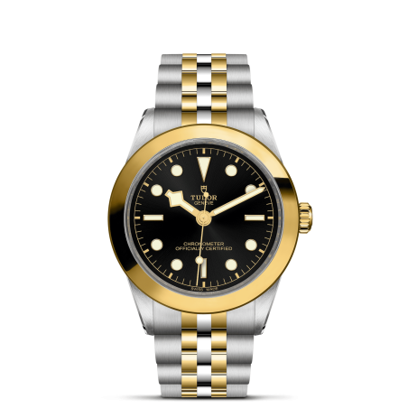 Tudor Black Bay 39 S&G Ref. 79663-0001 - Tomasini Francia