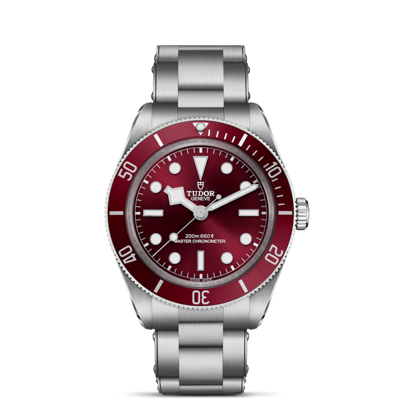 Tudor Black Bay 58 Ref. M7939A1A0RU-0002 - Tomasini Francia