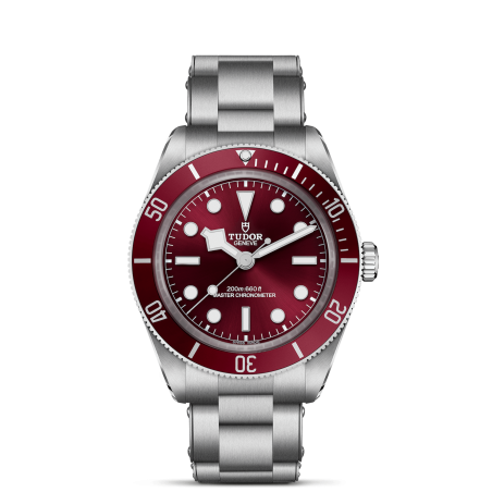 Tudor Black Bay 58 Ref. M7939A1A0RU-0002 - Tomasini Francia