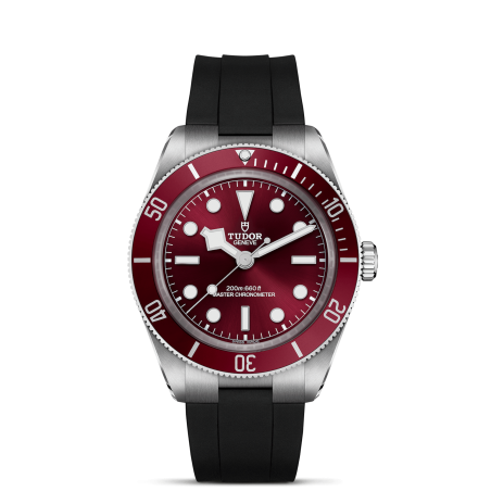 Tudor Black Bay 58 Ref. M7939A1A0RU-0003 - Tomasini Francia