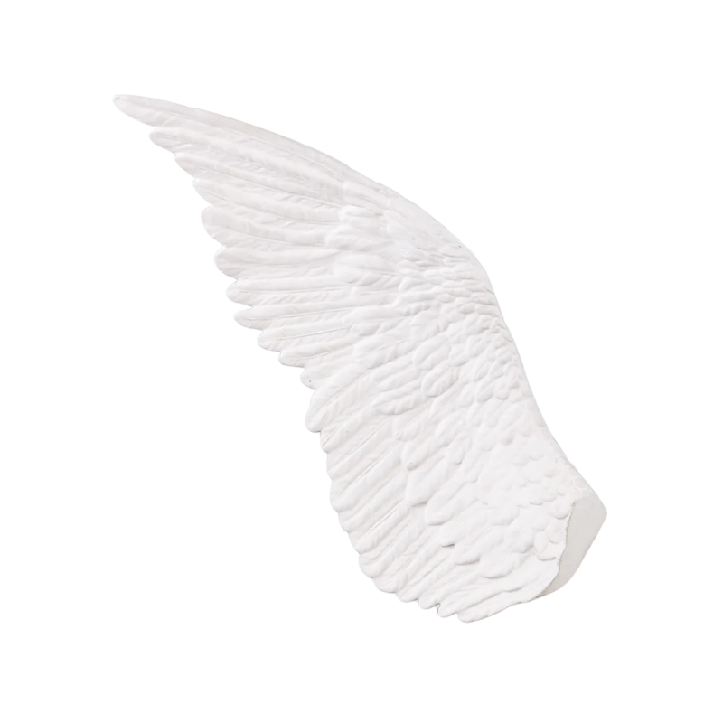 Seletti Memorabilia Mvsevm Wing Left Ref. 10084 - Tomasini Francia