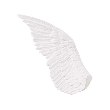 Seletti Memorabilia Mvsevm Wing Left Ref. 10084 - Tomasini Francia