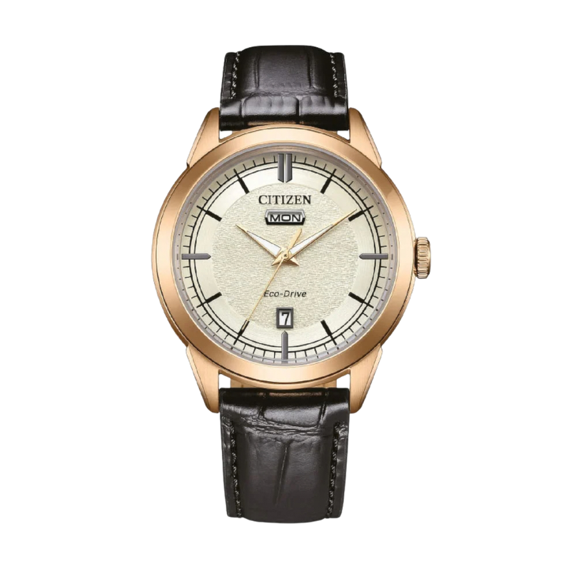 Citizen Of Elegant Ref. AW0153-04A - Tomasini Francia