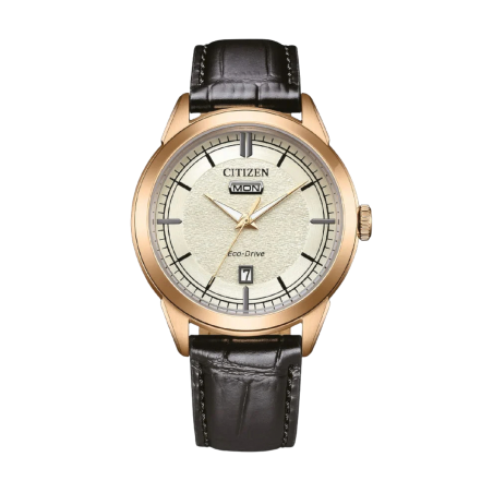 Citizen Of Elegant Ref. AW0153-04A - Tomasini Francia