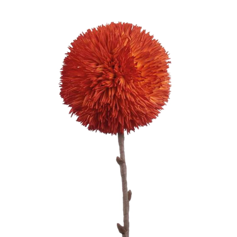 L'Oca Nera Allium arancio Ref. 1P168 - Tomasini Francia