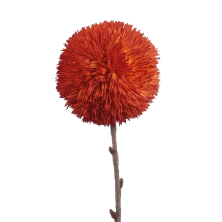 L'Oca Nera Allium arancio Ref. 1P168 - Tomasini Francia