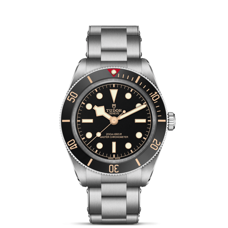 Tudor Black Bay 58 Ref. M7939A1A0NU-0002 - Tomasini Francia