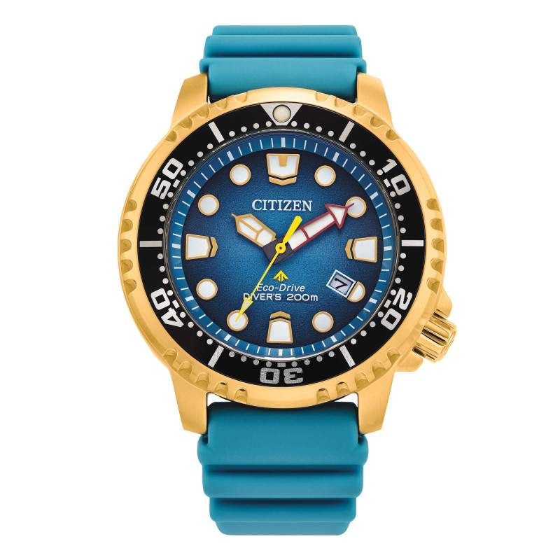 Citizen Promaster Diver's Eco Drive 200 Ref. BN0162-02X - Tomasini Francia