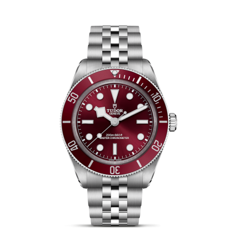 Tudor Black Bay 58 Ref. M7939A1A0RU-0001 - Tomasini Francia
