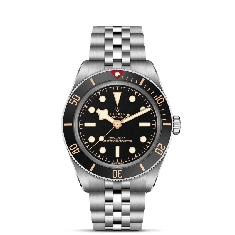 Tudor Black Bay 54 Ref. M7939A1A0NU-0001 - Tomasini Francia