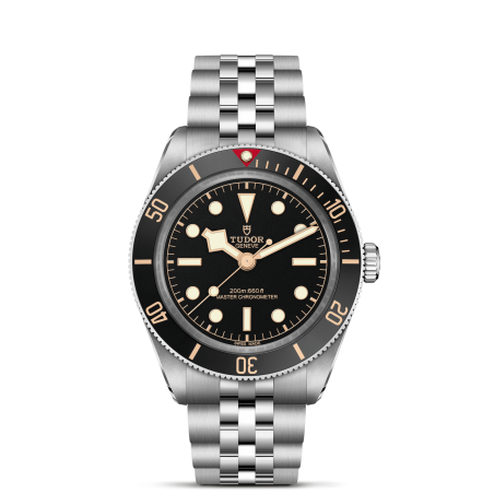 Tudor Black Bay 54 Ref. M7939A1A0NU-0001 - Tomasini Francia