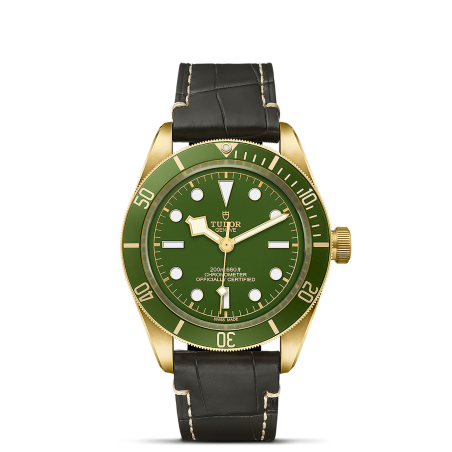 Tudor Black Bay 58 18K Ref. M79018V-0001-[duplicato]-1 - Tomasini Francia