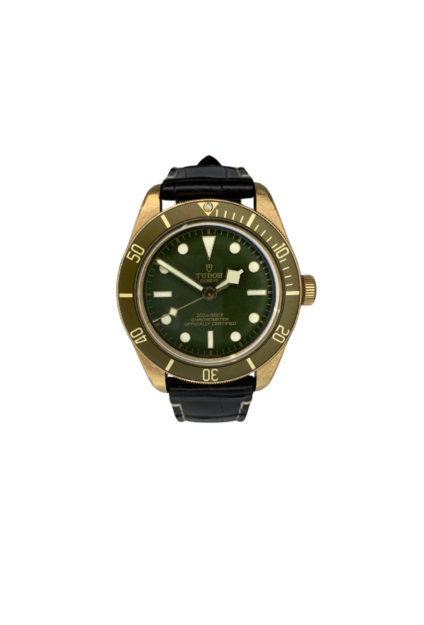 Tudor Black Bay 58 Ref. M79018V-0001-[duplicato]-2 - Tomasini Francia