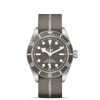 Tudor Black Bay 58-925