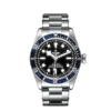 Tudor Black Bay
