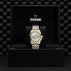 Tudor Black Bay One 39 S&G