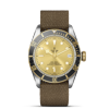 Tudor Black Bay S&G