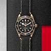 Tudor Black Bay Bronze