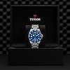 Tudor Pelagos