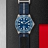 Tudor Pelagos FXD