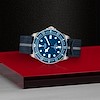 Tudor Pelagos FXD