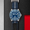 Tudor Pelagos FXD