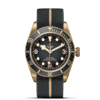 Tudor Black Bay Bronze