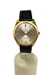 Omega Seamaster