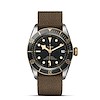 Tudor Black Bay S&G