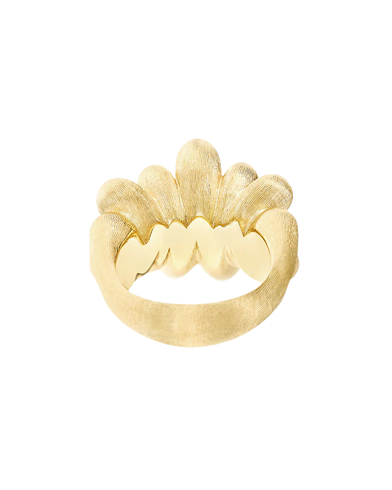 Nanis Trasformista Anello