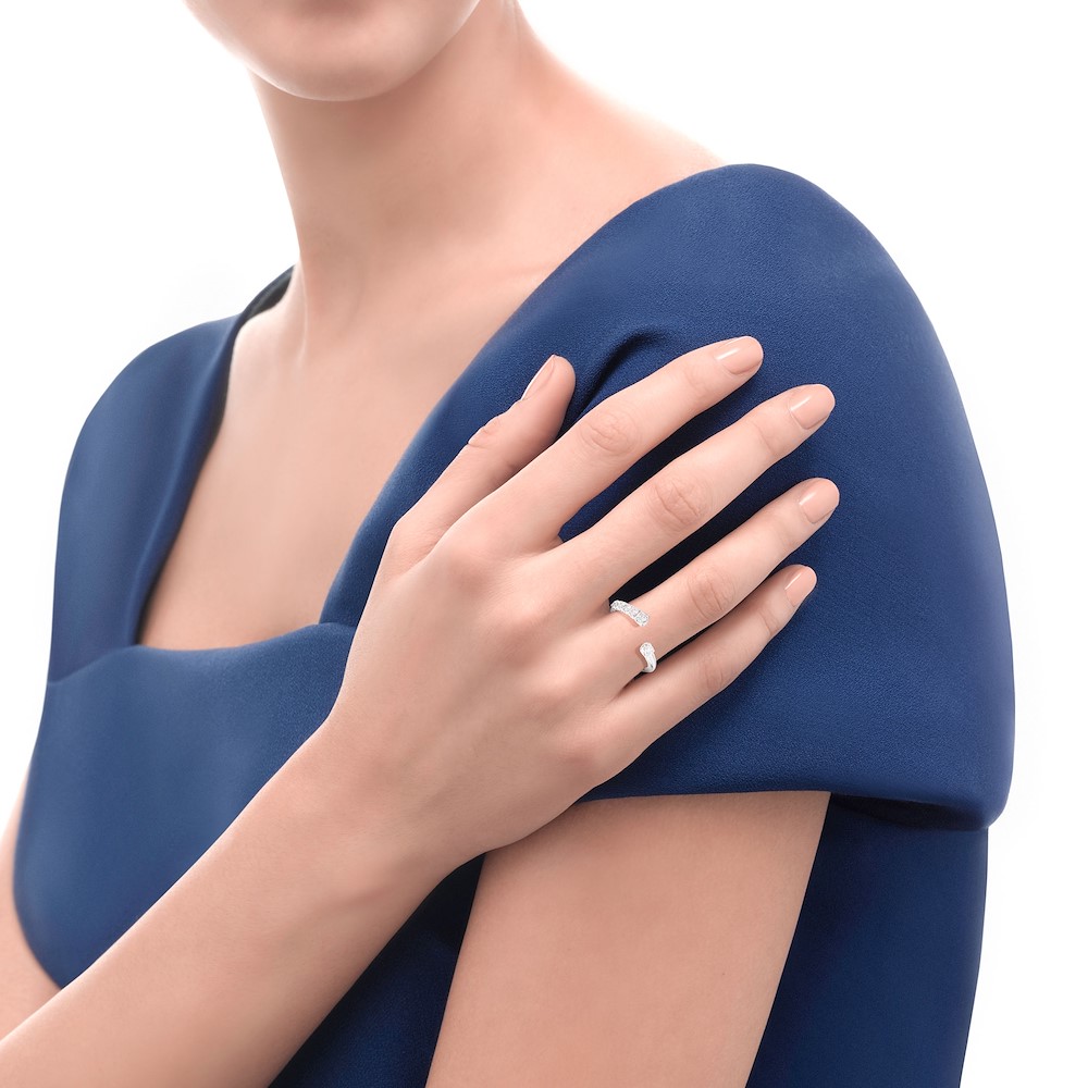 Anelli R01FN007/044-15