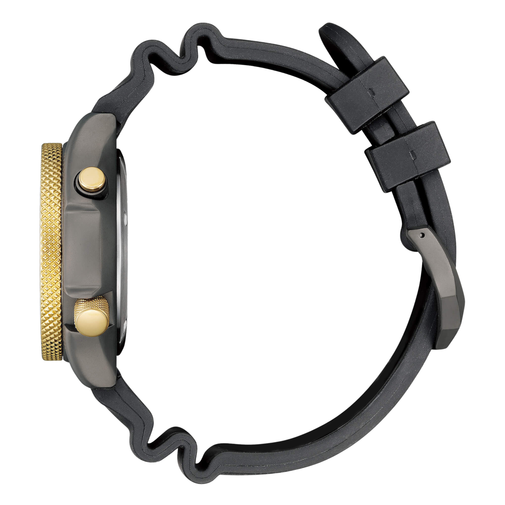 Citizen Promaster Aqualand 40th Anniversary Limited Edition