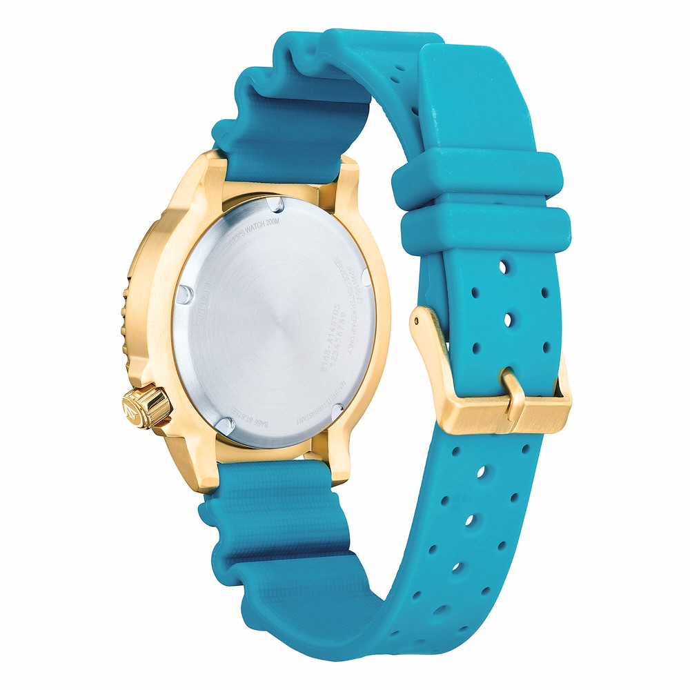 Citizen Promaster Diver's Eco Drive 200