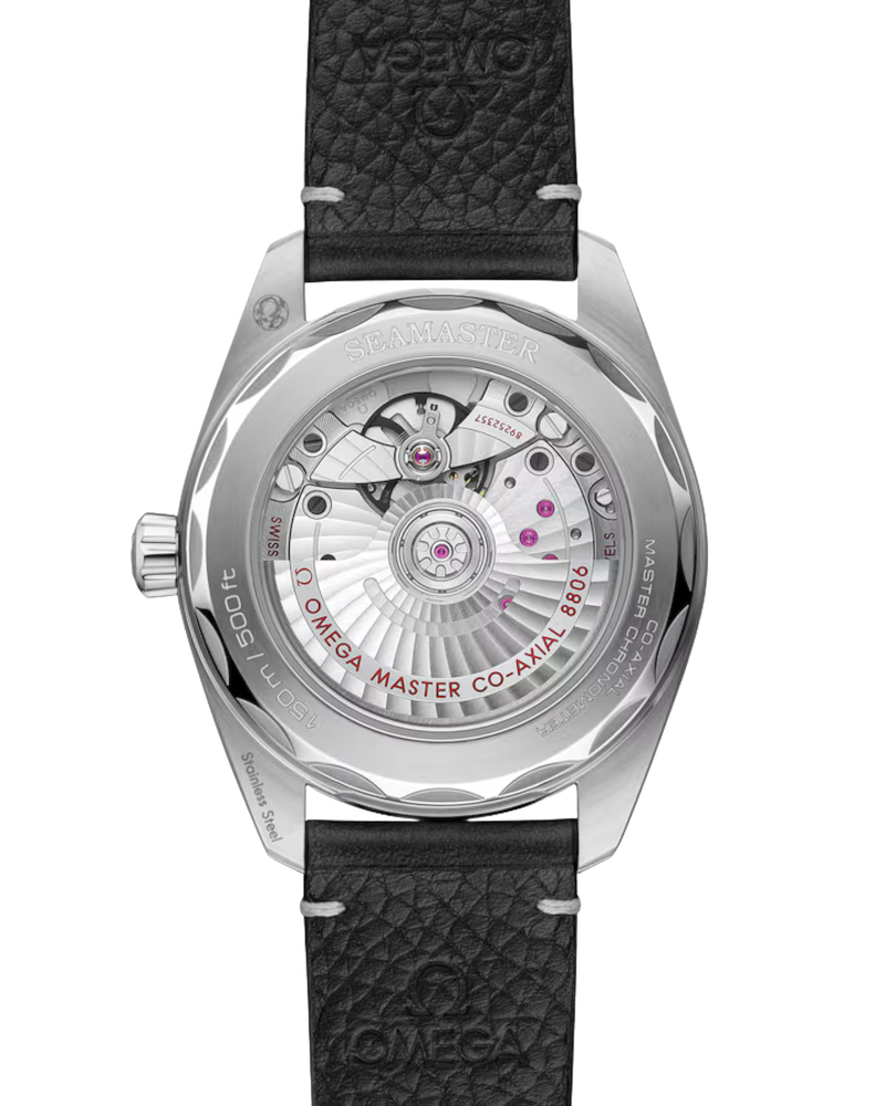 Omega Seamaster Railmaster