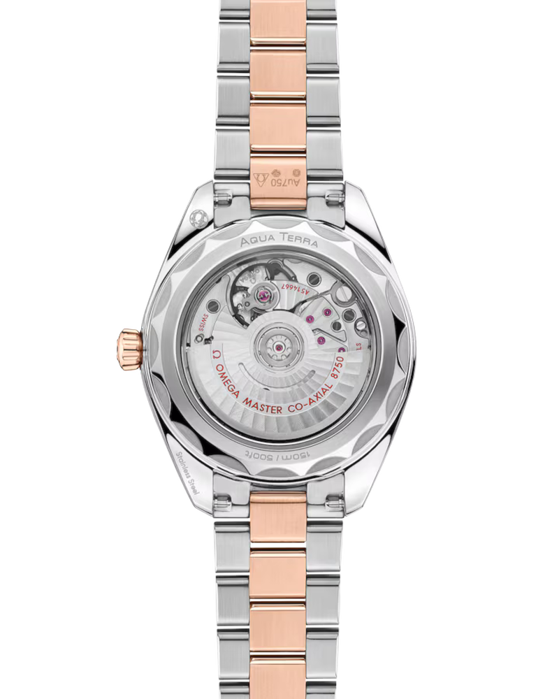 Omega Seamaster Aqua Terra 150M