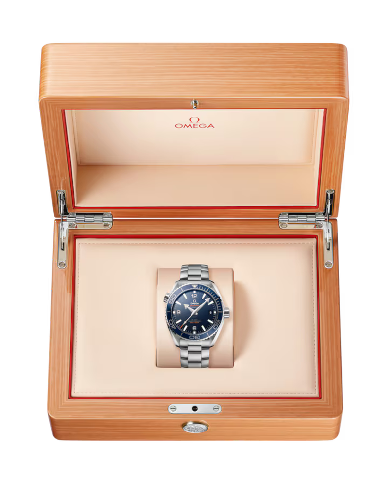 Omega Seamaster Planet Ocean 600M