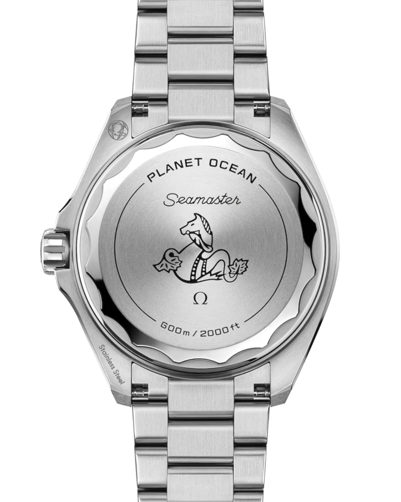 Omega Seamaster Planet Ocean 600M