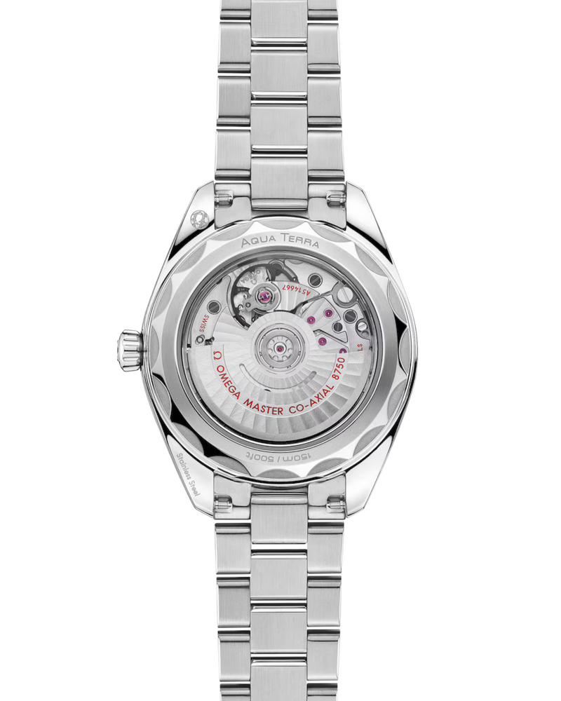 Seamaster Aqua Terra 150M