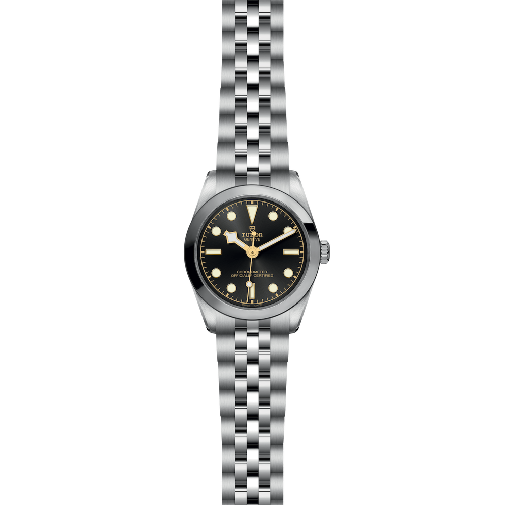 Tudor Black Bay 31