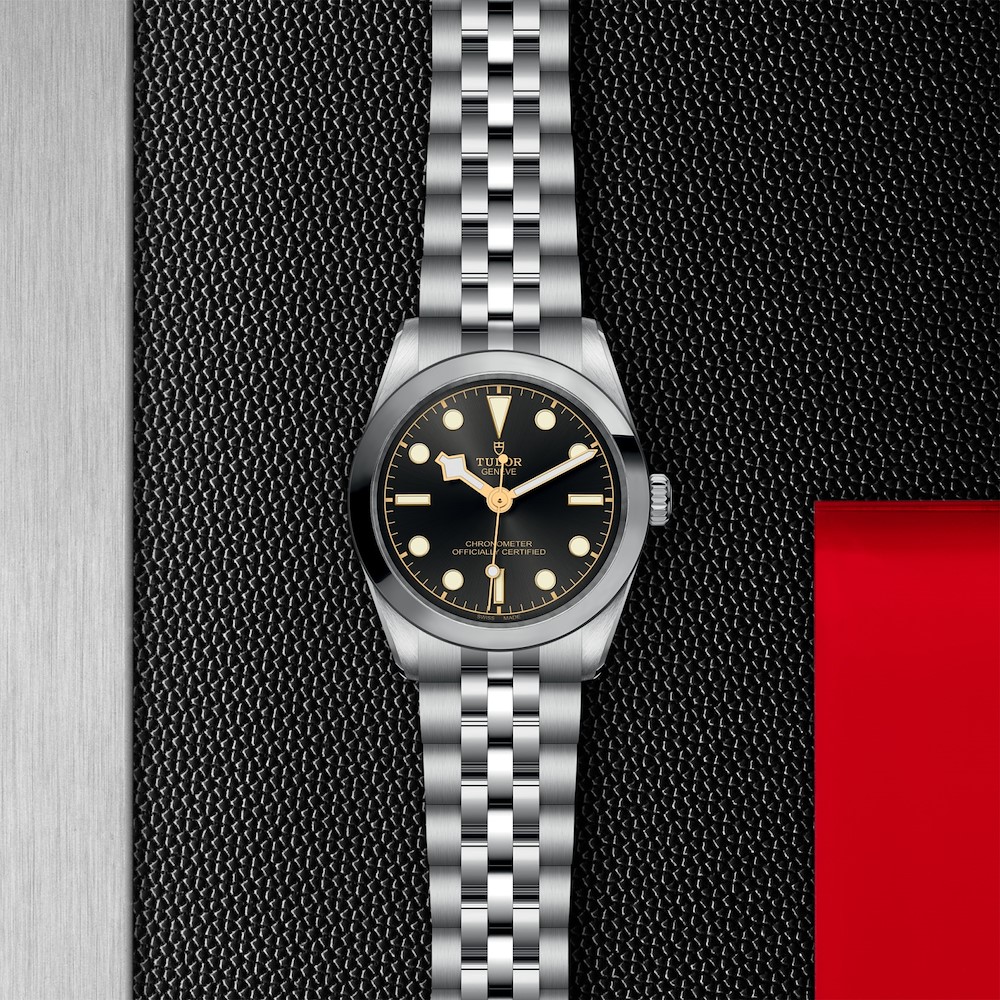 Tudor Black Bay 31