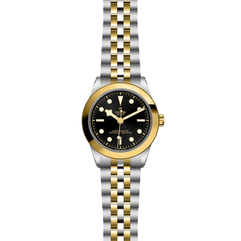 Tudor Black Bay 39 S&G