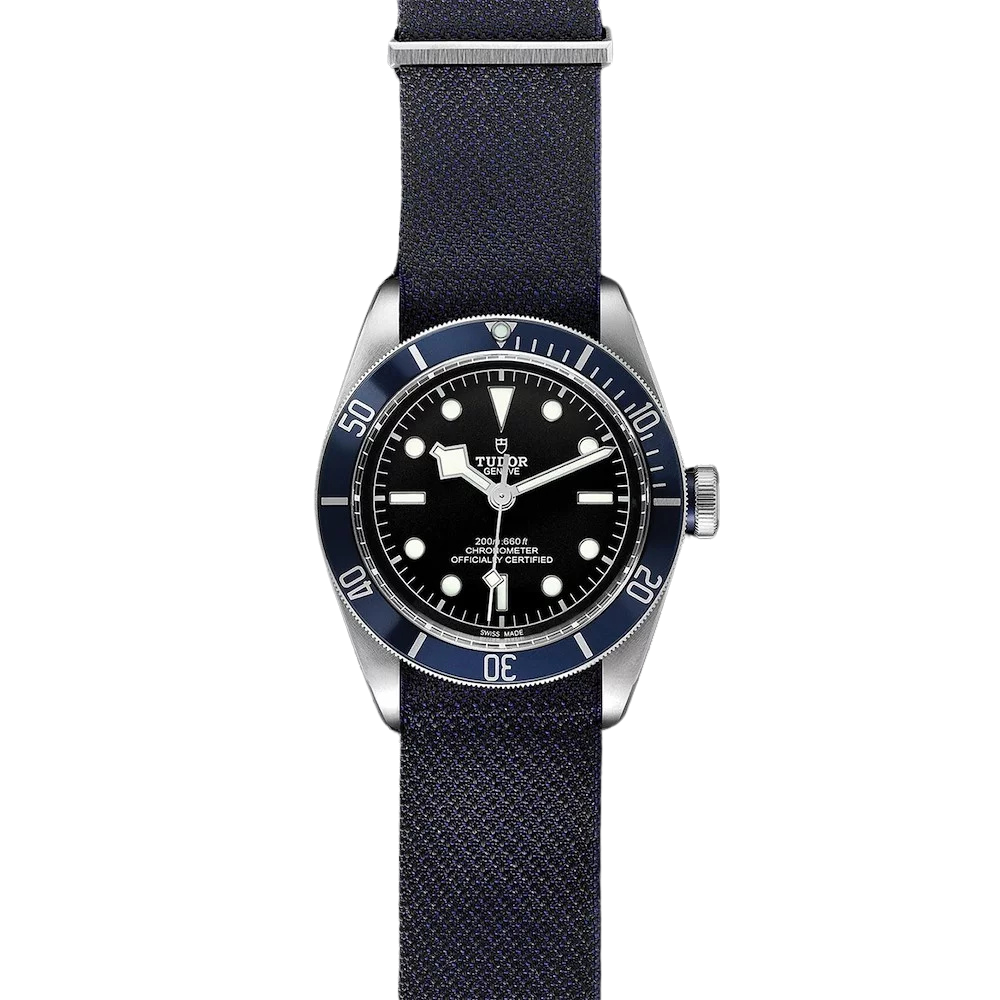 Tudor Black Bay