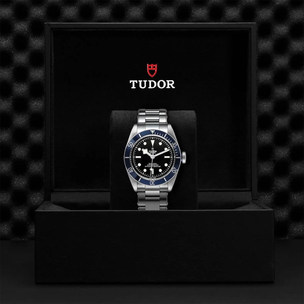 Tudor Black Bay