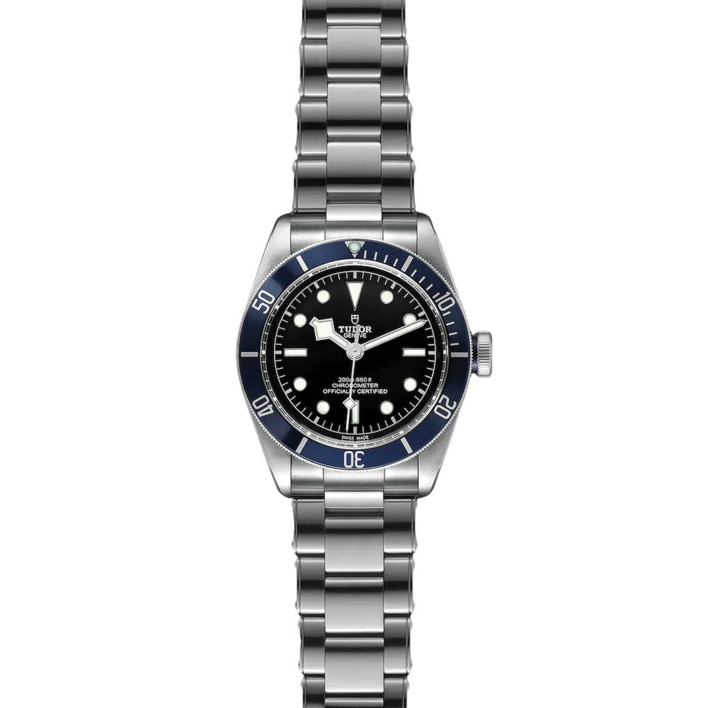 Tudor Black Bay