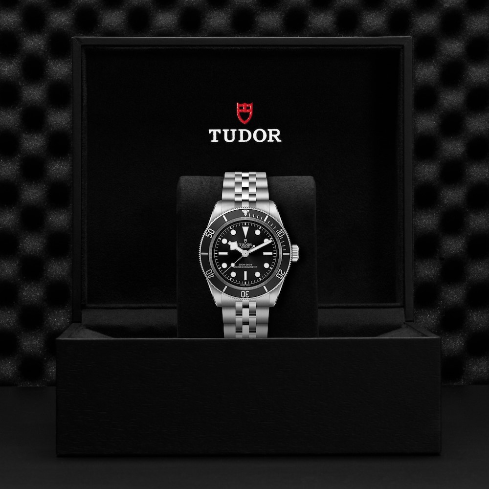 Tudor Black Bay