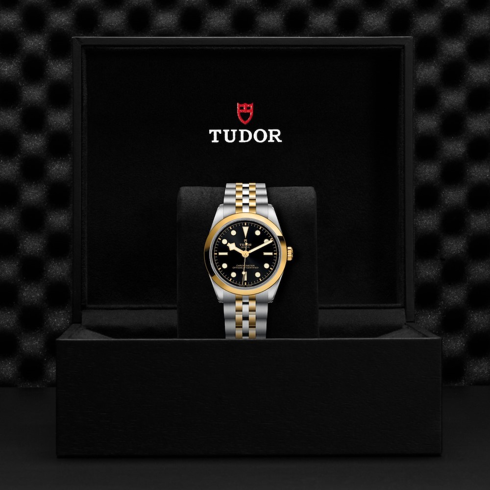 Tudor Black Bay One 36 S&G