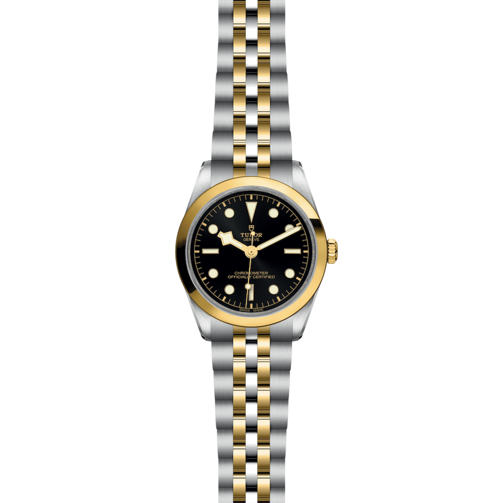 Tudor Black Bay One 36 S&G